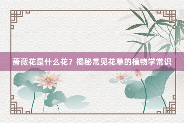 蔷薇花是什么花？揭秘常见花草的植物学常识